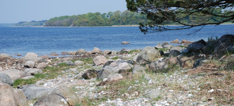 Am Holbaek Fjord mit den Mittelspitzen von der Rosteige - 23