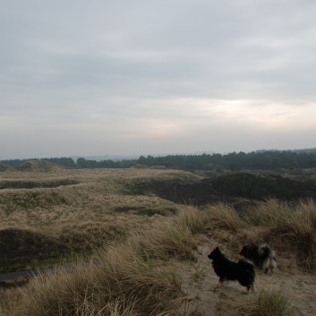 Am See und Strand von Borsmose mit den Mittelspitzen von der Rosteige 12