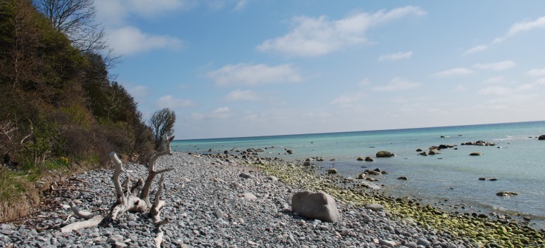 Am Strand vom Mons Klint mit den Mittelspitzen von der Rosteige - 12