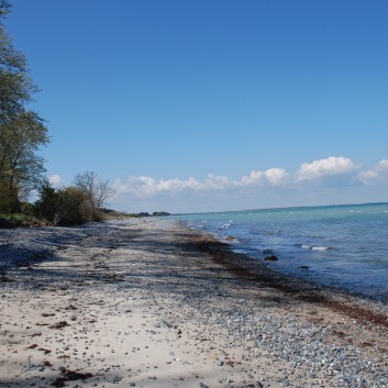 Am Strand vom Mons Klint mit den Mittelspitzen von der Rosteige - 31