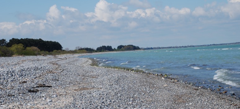 Am Strand vom Mons Klint mit den Mittelspitzen von der Rosteige - 34