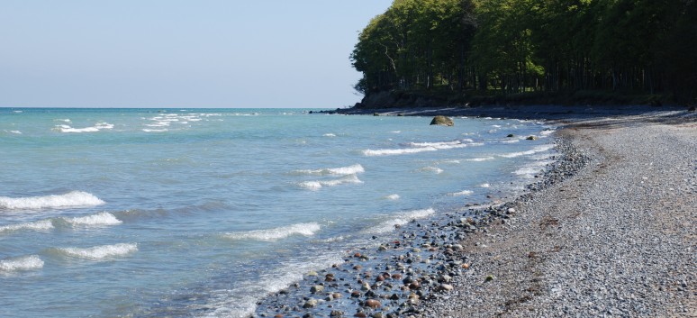 Am Strand vom Mons Klint mit den Mittelspitzen von der Rosteige - 35