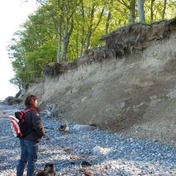 Am Strand vom Mons Klint mit den Mittelspitzen von der Rosteige - 38