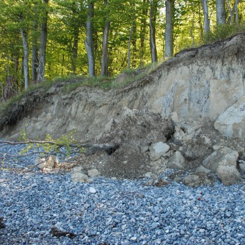 Am Strand vom Mons Klint mit den Mittelspitzen von der Rosteige - 39