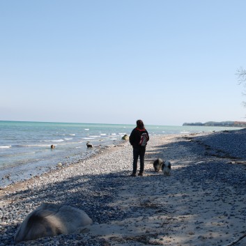 Am Strand vom Mons Klint mit den Mittelspitzen von der Rosteige - 40