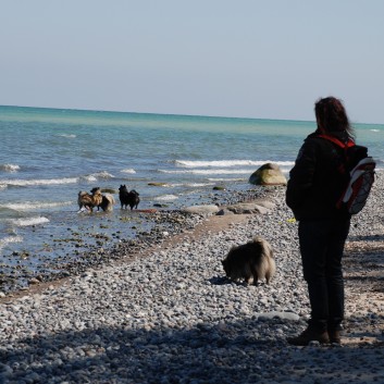 Am Strand vom Mons Klint mit den Mittelspitzen von der Rosteige - 41