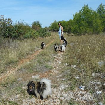 Auto Camping Krka 01 