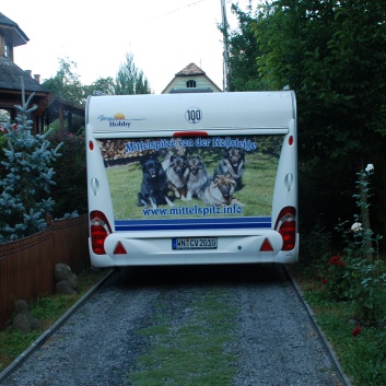 CACIB Targu Mures 2011 mit den Spitzen von der Rosssteige 01