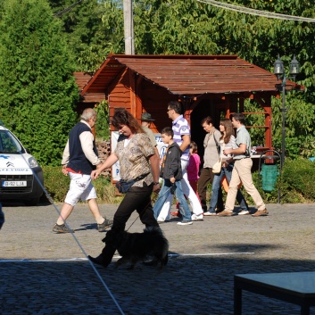 CACIB Targu Mures 2011 mit den Spitzen von der Rosssteige 05