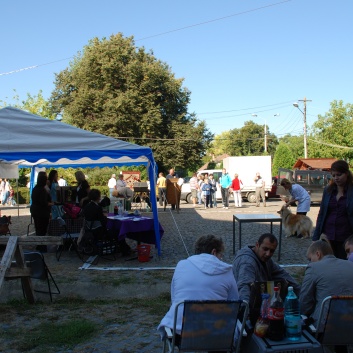 CACIB Targu Mures 2011 mit den Spitzen von der Rosssteige 06