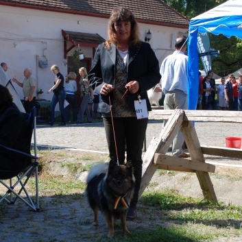 CACIB Targu Mures 2011 mit den Spitzen von der Rosssteige 12