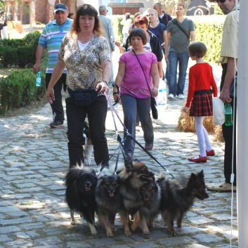 CACIB Targu Mures 2011 mit den Spitzen von der Rosssteige 14