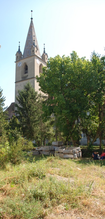 CACIB Targu Mures 2011 mit den Spitzen von der Rosssteige 17