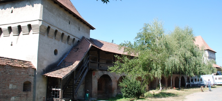 CACIB Targu Mures 2011 mit den Spitzen von der Rosssteige 19