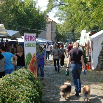 CACIB Targu Mures 2011 mit den Spitzen von der Rosssteige 26