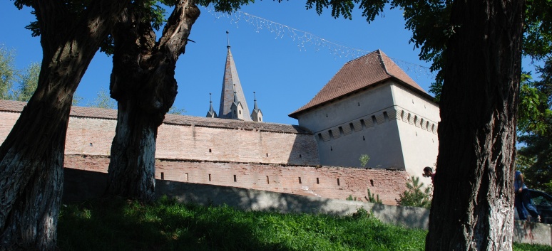 CACIB Targu Mures 2011 mit den Spitzen von der Rosssteige 37