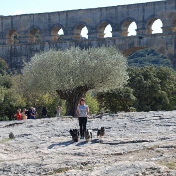 Camping Urlaub mit Spitzen nach Gibraltar 033