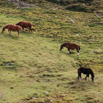 Camping Urlaub mit Spitzen nach Gibraltar 208