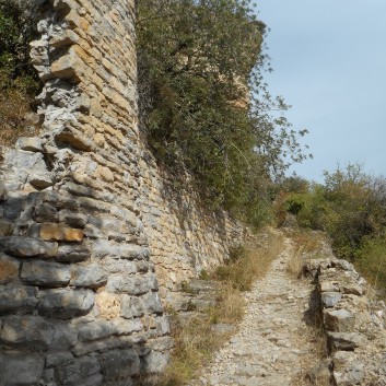 Chateau Peyrelade 2017 - 28