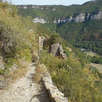 Chateau Peyrelade 2017 - 29