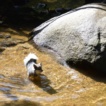 Die Mittelspitz im Felsenmeer - Mare aix Sanglier 13