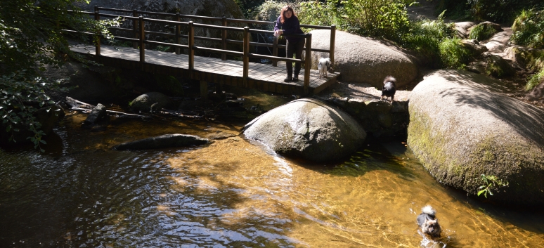 Die Mittelspitz im Felsenmeer - Mare aix Sanglier 14