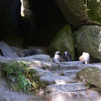 Die Mittelspitz im Felsenmeer - Mare aix Sanglier 19