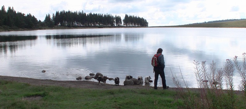 Die Mittelspitz von der Rosteige am Lac la Servieres in die Avergne 09