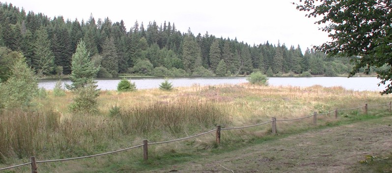 Die Mittelspitz von der Rosteige am Lac la Servieres in die Avergne 19