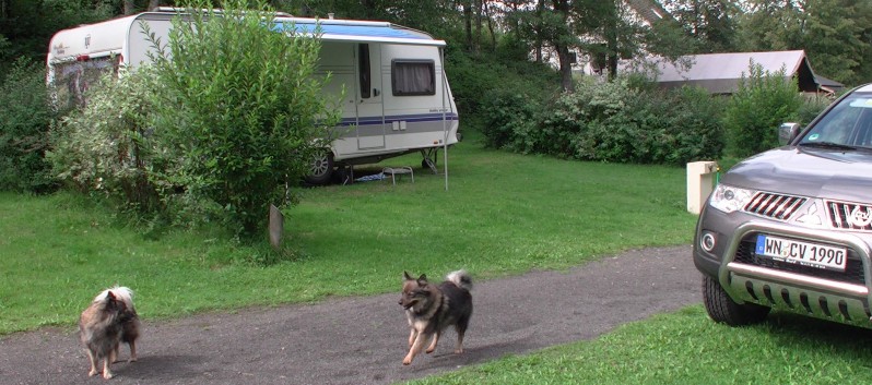 Die Mittelspitz von der Rosteige auf dem Campingplatz La Chauderie in die Auvergne 04