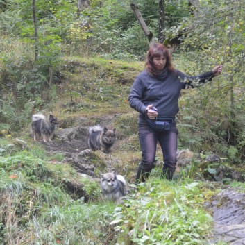 Die Mittelspitz von der Rosteige auf dem Campingplatz La Chauderie in die Auvergne 16