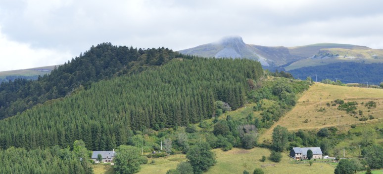 Die Mittelspitz von der Rosteige auf dem Puy de Mareith 02b