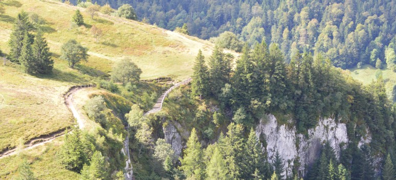 Die Mittelspitz von der Rosteige auf dem Puy de Mareith 08b