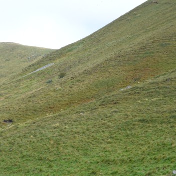 Die Mittelspitz von der Rosteige auf dem Puy de Mareith 18