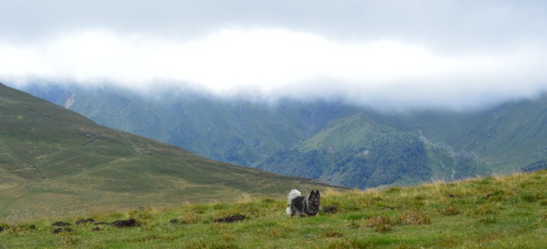 Die Mittelspitz von der Rosteige auf dem Puy de Mareith 25