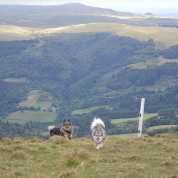 Die Mittelspitz von der Rosteige auf dem Puy de Mareith 27