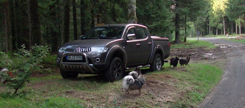 Die Mittelspitz von der Rosteige im Wald in der Auvergne 16