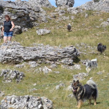 Die Mittelspitze auf dem Chaos de Nimes le vieux - 27