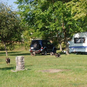 Die Mittelspitze von der Rosteige - Camping Eldorado in Rumnien - 19