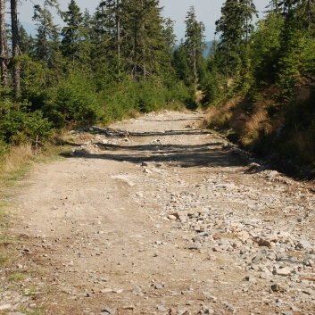 Die Mittelspitze von der Rosssteige auf dem Munti Gihor - 37