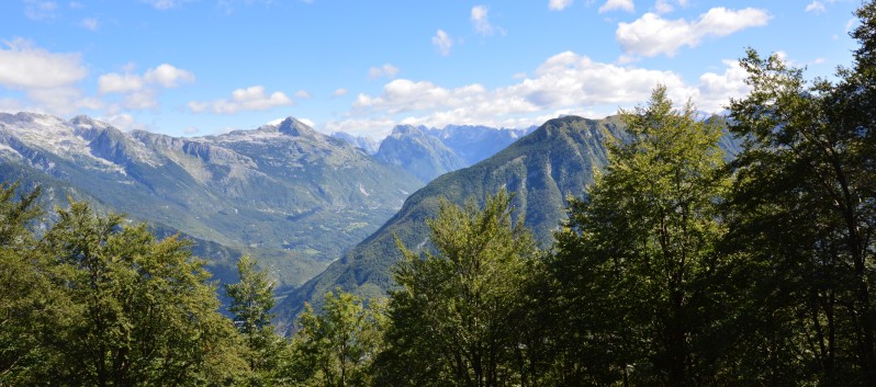 Die Mittelspitze von der Rosteige auf dem Stol in Slowenien - 08