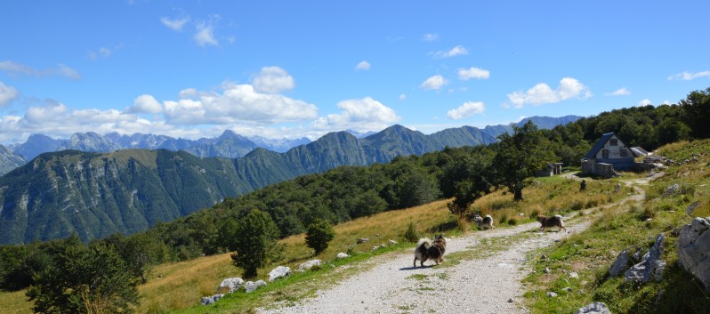 Die Mittelspitze von der Rosteige auf dem Stol in Slowenien - 14