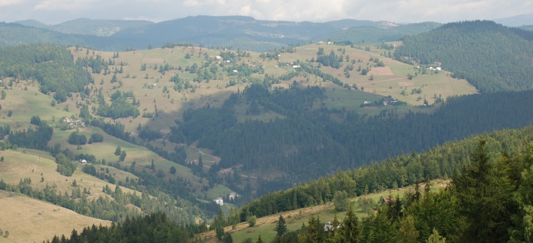 Die Mittelspitze von der Rosssteige im Apuseni-Gebirge in Transilvanien - 13