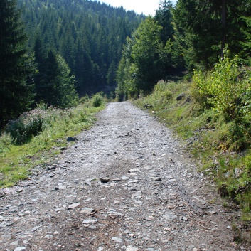 Die Mittelspitze von der Rosssteige im Apuseni-Gebirge in Transilvanien - 27