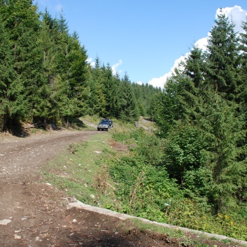 Die Mittelspitze von der Rosssteige im Apuseni-Gebirge in Transilvanien - 29