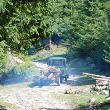 Die Mittelspitze von der Rosssteige im Apuseni-Gebirge in Transilvanien - 34