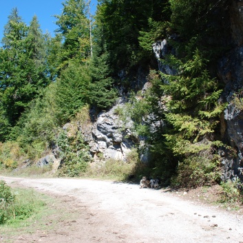 Die Mittelspitze von der Rosssteige im Apuseni Gebirge auf Abenteuer - 09