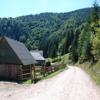 Die Mittelspitze von der Rosssteige im Apuseni Gebirge auf Abenteuer - 45