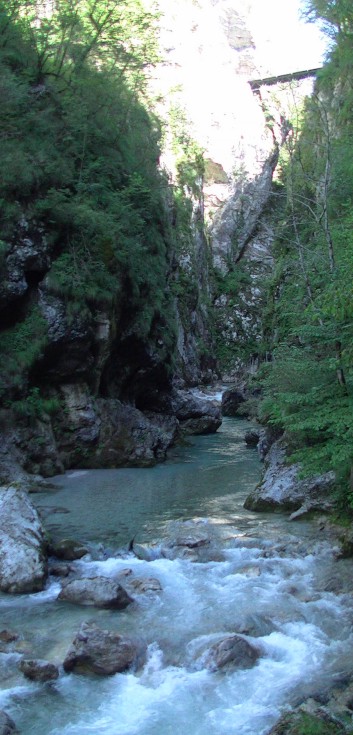 Die Mittelspitze von der Rosteige in den Tolminer Klammen in Slowenien 07