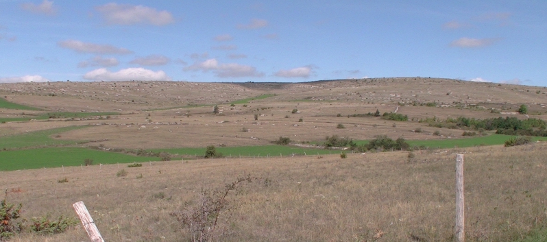 Die Spitze von der Rosteige auf dem Plateau Mejean in Sdfrankreich - 09